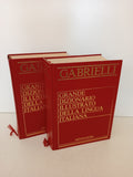 COPPIA VOLUMI GRANDE DIZIONRIO ILLUSTRATO DELLA LINGUA ITALIANA - GABRIELLI