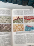 ENCICLOPEDIA DELLA SCIENZA E DELLA TECNICA 12VOL.MONDADORI