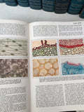 ENCICLOPEDIA DELLA SCIENZA E DELLA TECNICA 12VOL.MONDADORI