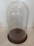 CAMPANA IN VETRO H20XDIAMETRO10 CM C/BASE