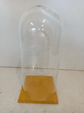 CAMPANA IN VETRO H20XDIAMETRO10 CM C/BASE