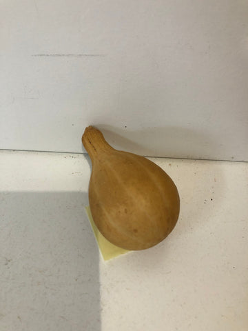 ZUCCA MIGNON H8XL4XP4 CM