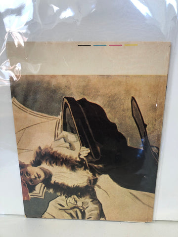 COPPIA POSTER TARGA FLORIO