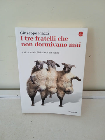 I TRE FRATELLI CHE NON DORMIVANO MAI - GIUSEPPE PLAZZI