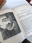 LA DIVINA COMMEDIA EDIZIONI POLARIS 3 VOLUMI