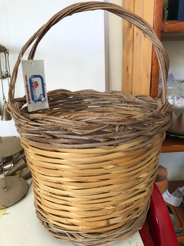 PANARU CON MANICO H41XD31 CM