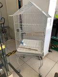 VOLIERA CON RIALZO 58X60XH146