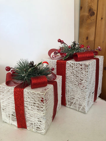 COPPIA PACCHI LUCI DI NATALE