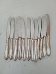 12 COLTELLI FRUTTA CON MANICO IN LAM ARG 800 L 20 CM