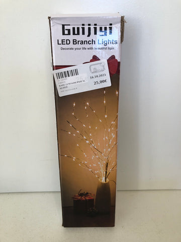 RAMI LUMINOSI PARI AL NUOVO