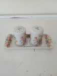 SALE E PEPE IN PORCELLANA ANCIENNE PORCELAINE