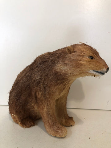 ORSO TIPO IN PELLICCIA H20XL20XP15 CM