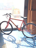 BICI BICICLETTA MOUBTAIN BIKE CALIFORNIA