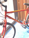 BICI BICICLETTA MOUBTAIN BIKE CALIFORNIA